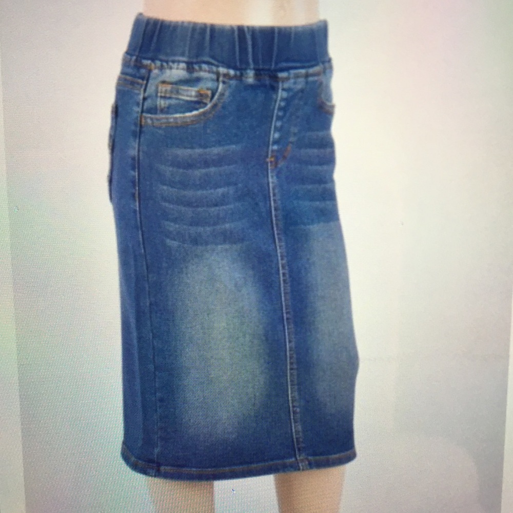 Danilynn Denim Skirt (Vintage Wash)